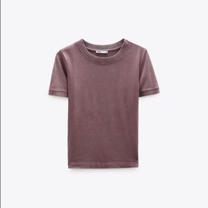 Zara Basic Cotton Mauve T-Shirt in Small